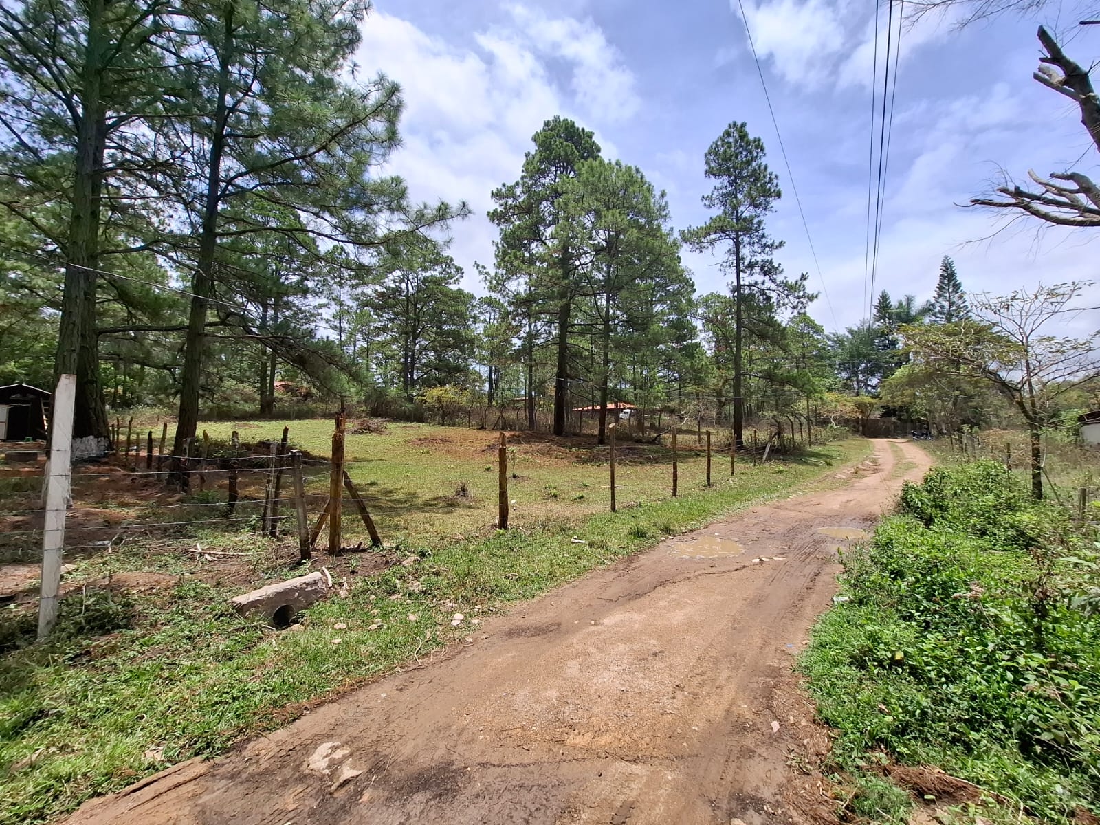 VALLE DE ÁNGELES, FRANCISCO MORAZÁN